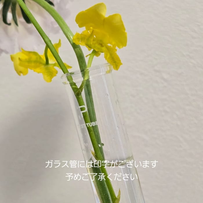 ちいさなお家の一輪挿し